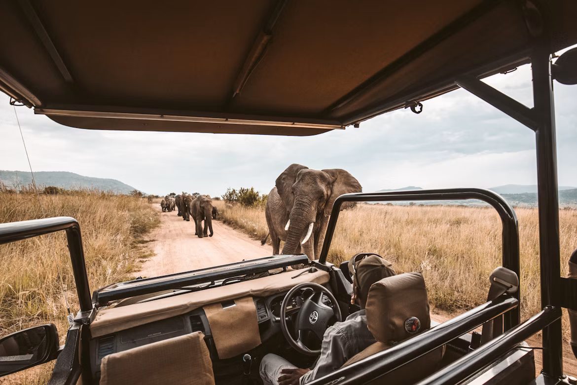 Weekend Safari Package at Imire Game Park