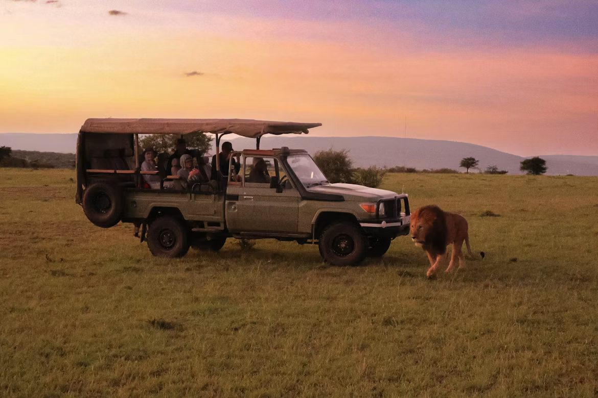 Weekend Safari Package at Imire Game Park